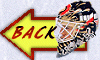 Back To The Goalie Page
